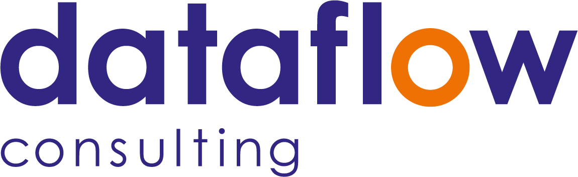 DataFlow Consulting
